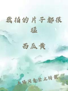 我拍的片子都很猛